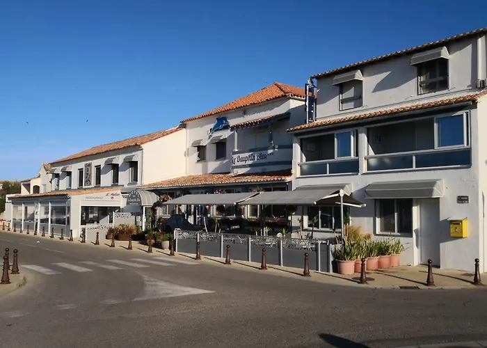 Hôtel accueillant les animaux: Le Dauphin Bleu